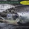 100 Best Flies For Atlantic Salmon -Energy Solutions Sales 100 best flies for atlantic salmon
