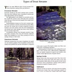 Fly Fishing For Trophy Trout -Energy Solutions Sales fly fishing for trophy trout 2