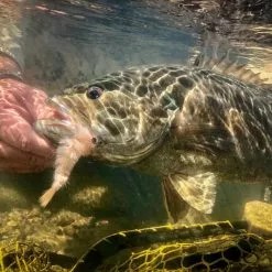 Game Changer: Tying Flies That Look & Swim Like The Real Thing By Blane Chocklett -Energy Solutions Sales game changer tying flies that look swim like the real thing by blane chocklett 11