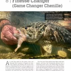 Game Changer: Tying Flies That Look & Swim Like The Real Thing By Blane Chocklett -Energy Solutions Sales game changer tying flies that look swim like the real thing by blane chocklett 7