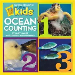 Ocean Counting