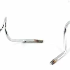 Pacific Bay Snake Guide