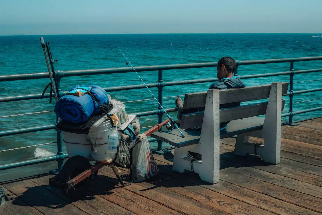 Energy Solutions Sales -Energy Solutions Sales pexels photo 12816261