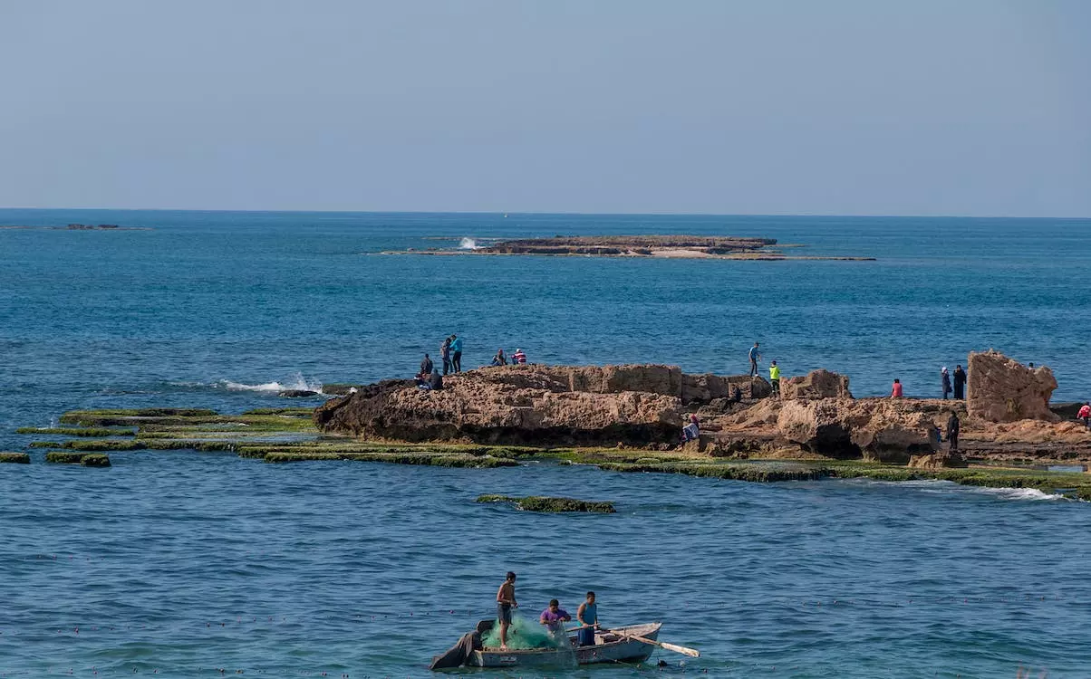 Energy Solutions Sales -Energy Solutions Sales pexels photo 12992730