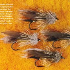 The Founding Flies -Energy Solutions Sales the founding flies 3