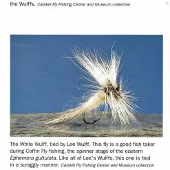 The Founding Flies -Energy Solutions Sales the founding flies 4