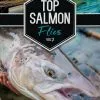 Top Salmon Flies Vol. 2 1 Top Salmon Flies Vol. 2 -Energy Solutions Sales top salmon flies vol 2