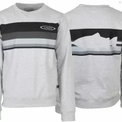 Vision Stripe College