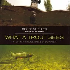 What A Trout Sees