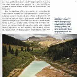 What A Trout Sees -Energy Solutions Sales what a trout sees 3